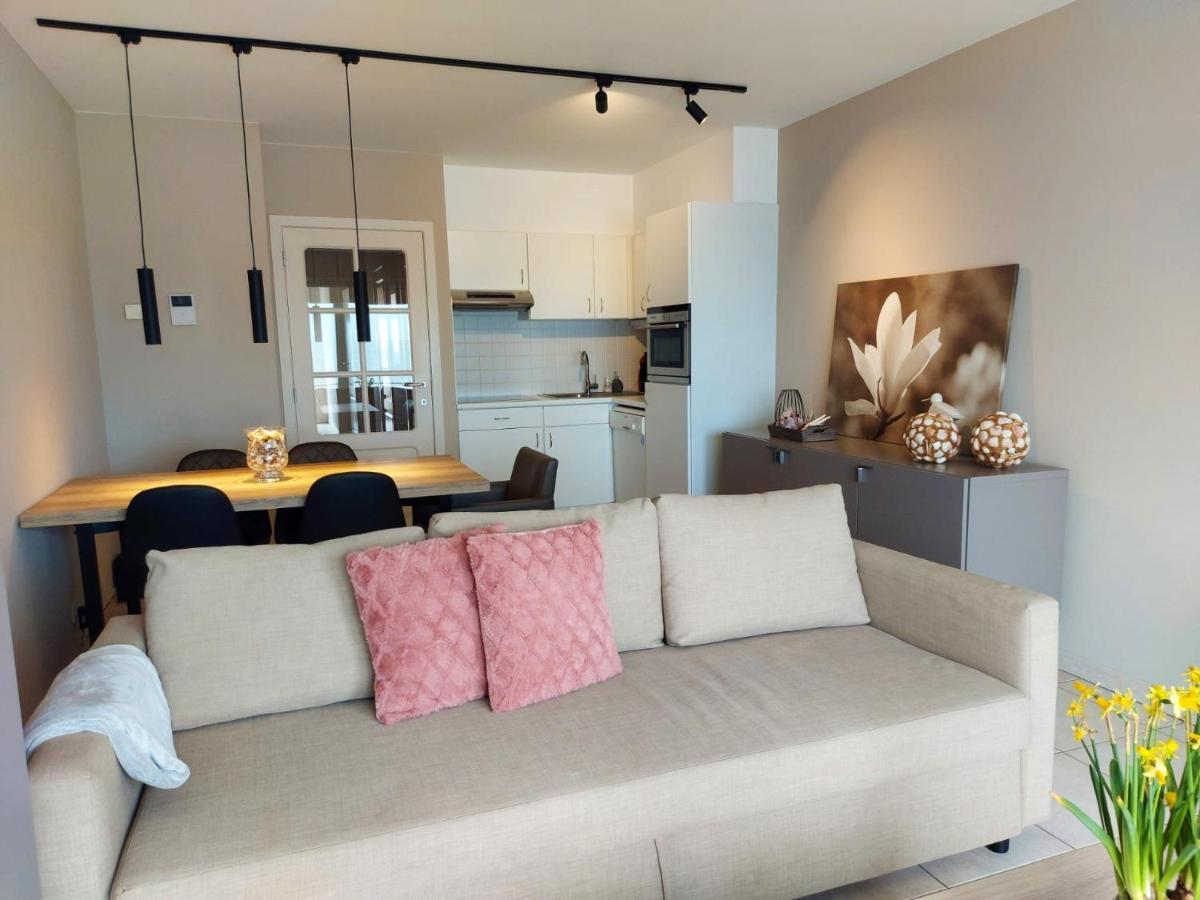 Appartement Met Zeezicht En Verwarmd Zwembad Ostende Kültér fotó