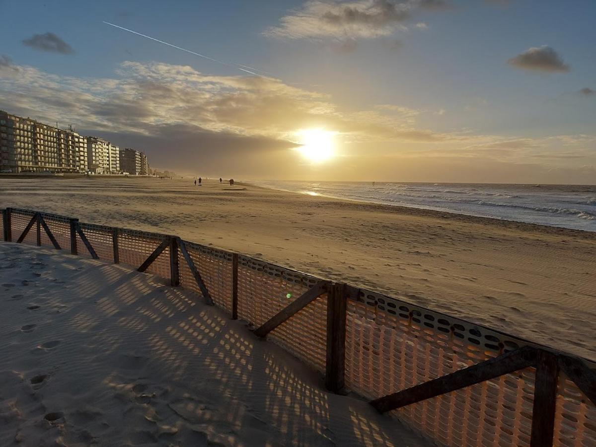 Appartement Met Zeezicht En Verwarmd Zwembad Ostende Kültér fotó